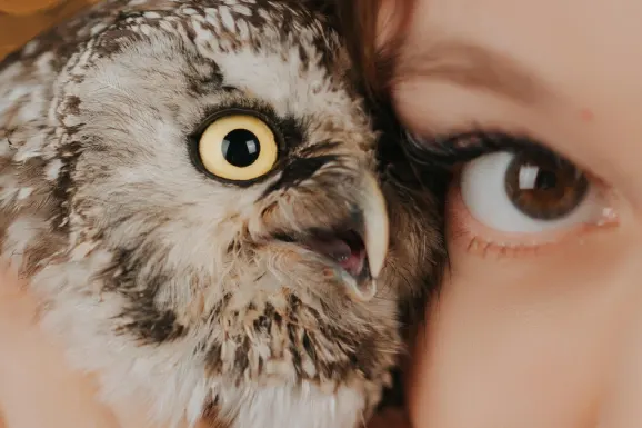 Casino Lucky 31 Podrška